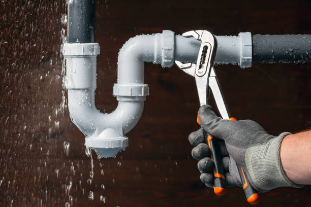 Professional Emergency Plumber technician working in Leoma, TN